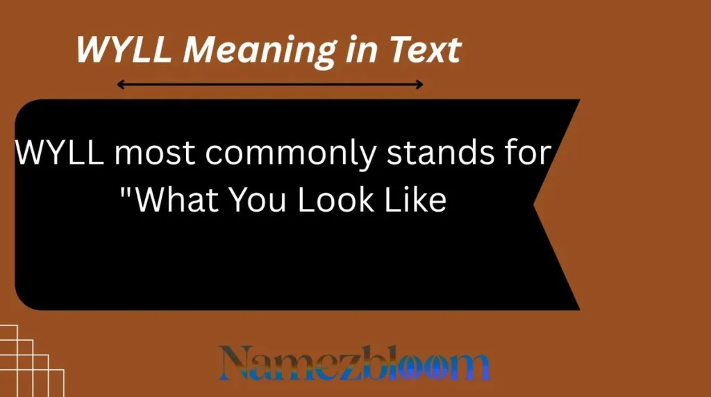 WYLL Meaning in Text