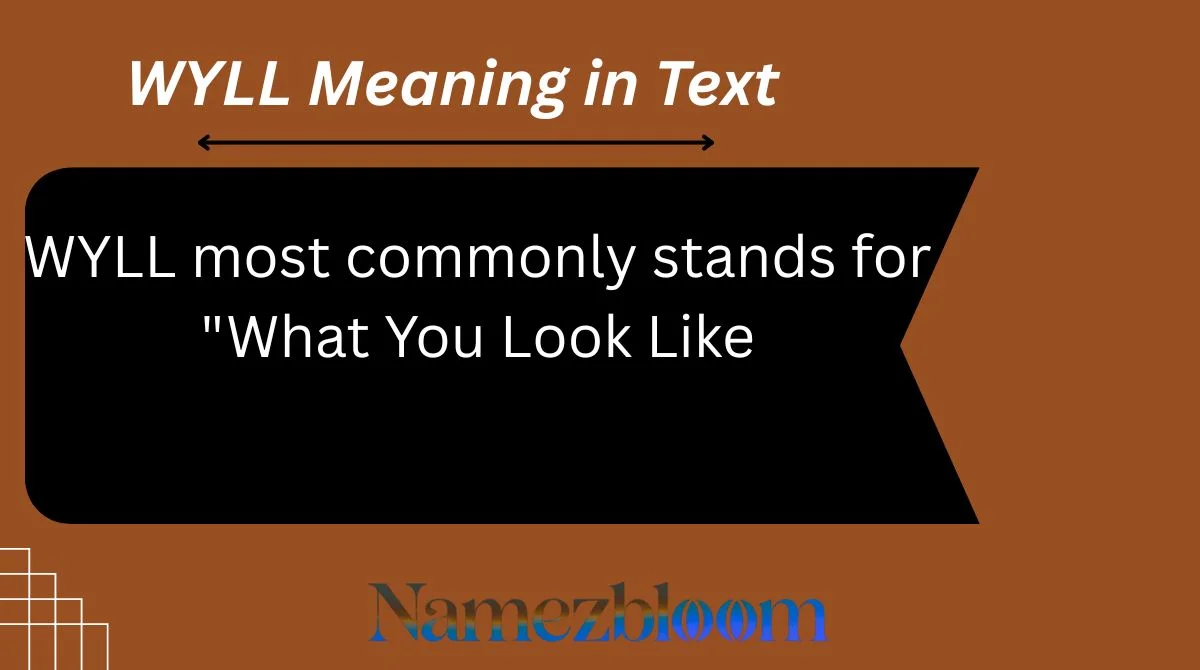WYLL Meaning in Text