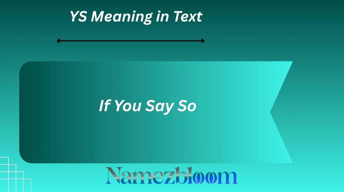 YS Meaning in Text