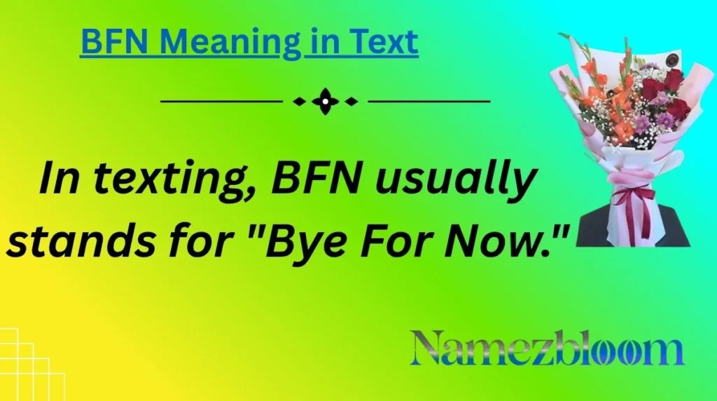 BFN Meaning in Text