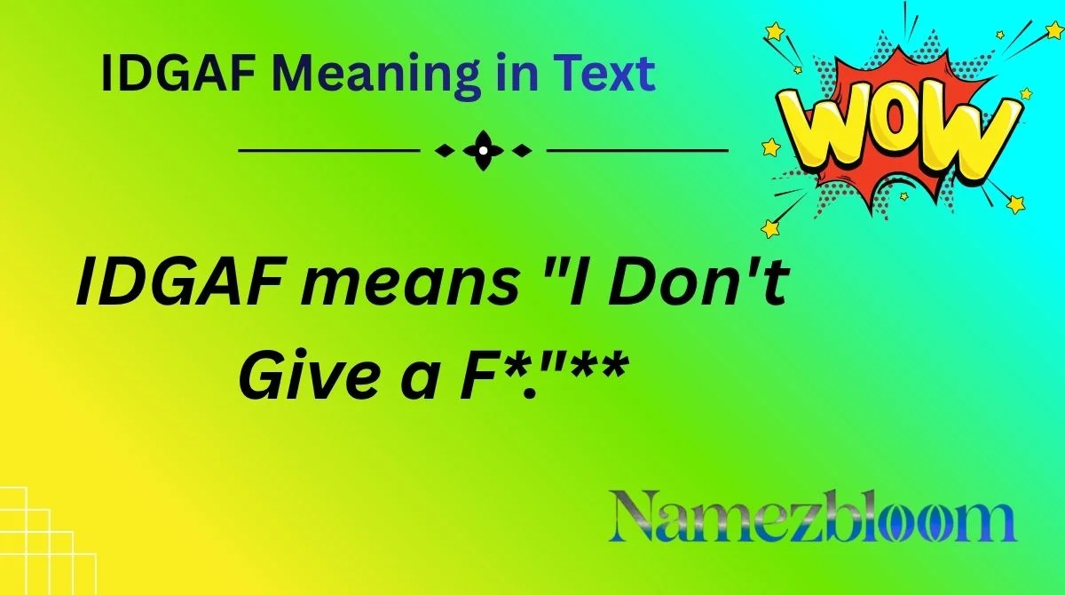 IDGAF Meaning in Text