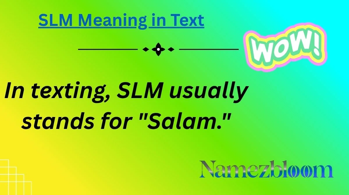 SLM Meaning in Text