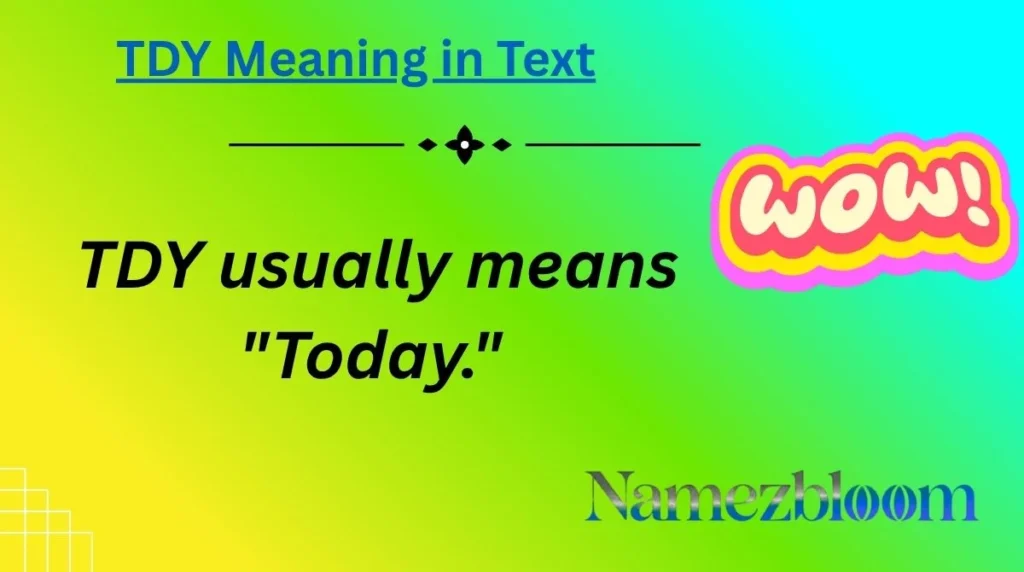 TDY Meaning in Text