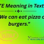 WTE Meaning in Text